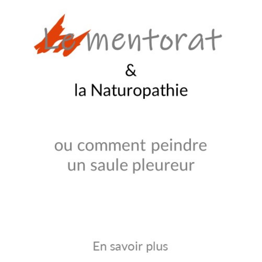 Comment peindre un saule pleureur